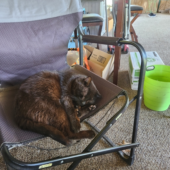 Meet your Posher, Debby, aka Dare 2 Dazzle, LLC - Picture 3 of 16